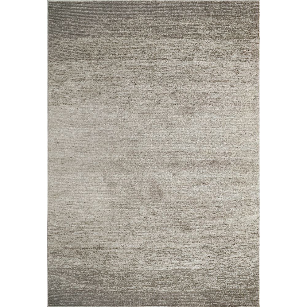Dynamic Rugs 4412-900 Zahara 5.3 Ft. X 7 Ft. Rectangle Rug in Grey/Charcoal